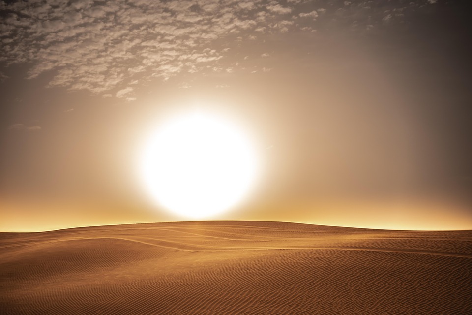 Austria hat keine Hoffnung mehr: Misolic bei Australian Open gescheitert