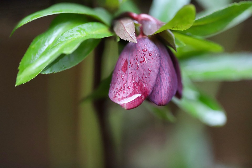 Billie Eilish: 7 Millionen Likes und mutiger neuer Look auf Instagram!