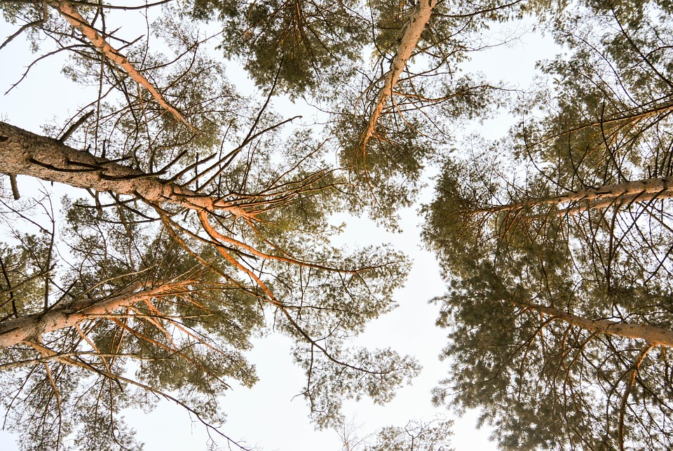 Drama in Wiener Club: Sexparty endet tödlich – Barkeeper angeklagt!