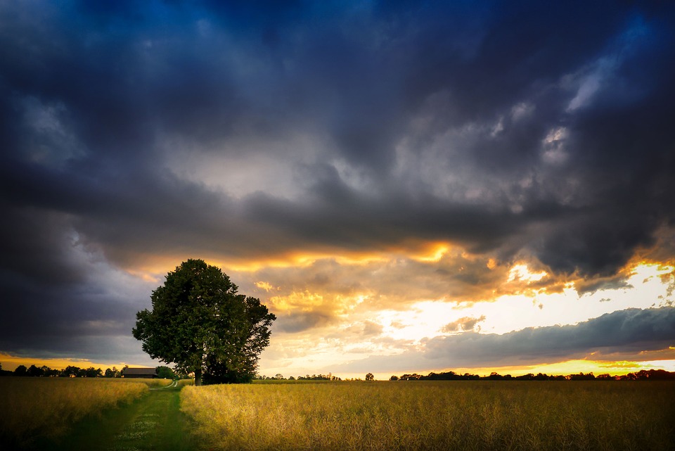 Durchbruch bei Festkörperbatterien: Schweizer Forscher präsentieren neue Technik!
