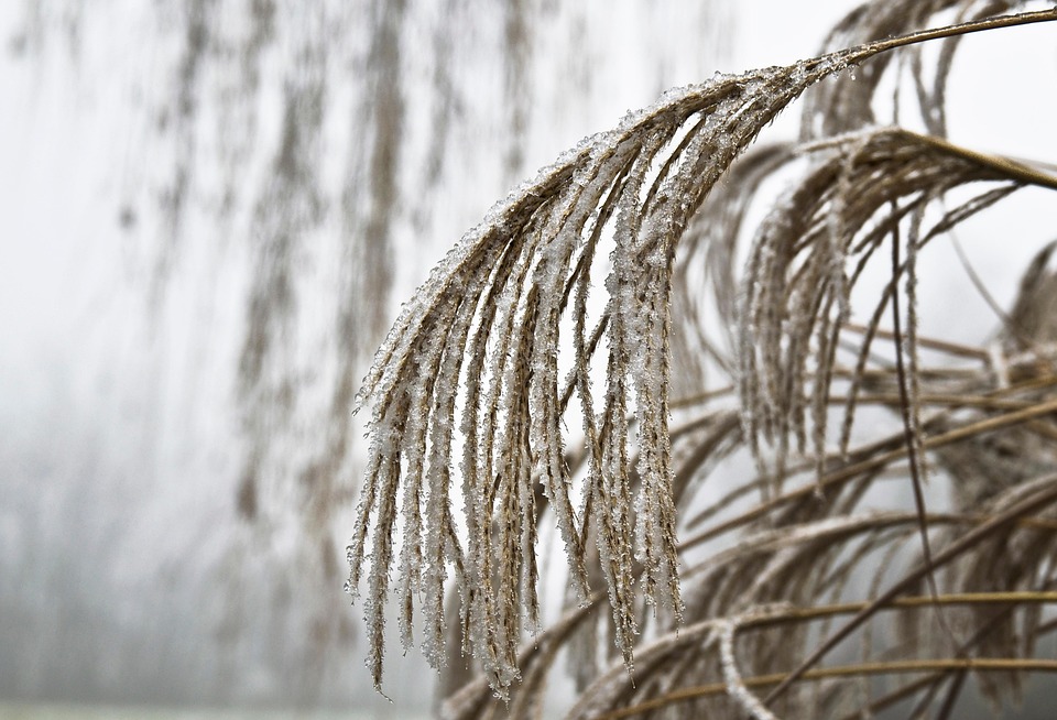 Eisige Temperaturen! Großbrand in Wien-Donaustadt fordert Einsatzkräfte