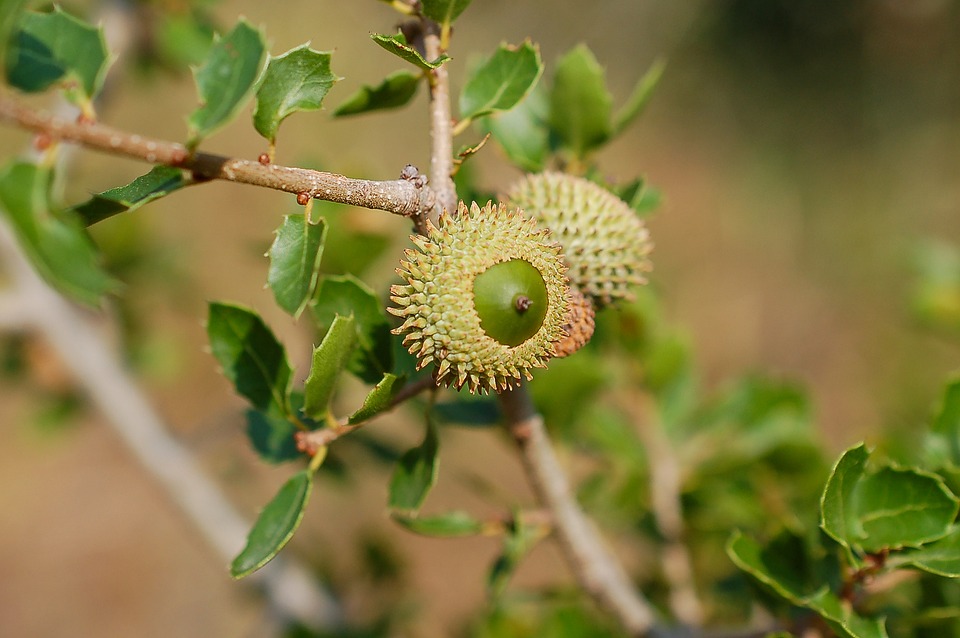 Flusssegnung der Glan: Ein Zeichen für Naturbewusstsein und Schutz!