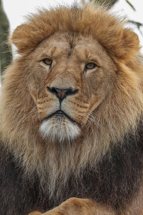Frau stirbt nach mutiger Rettung aus verheerendem Brand in Jülich
