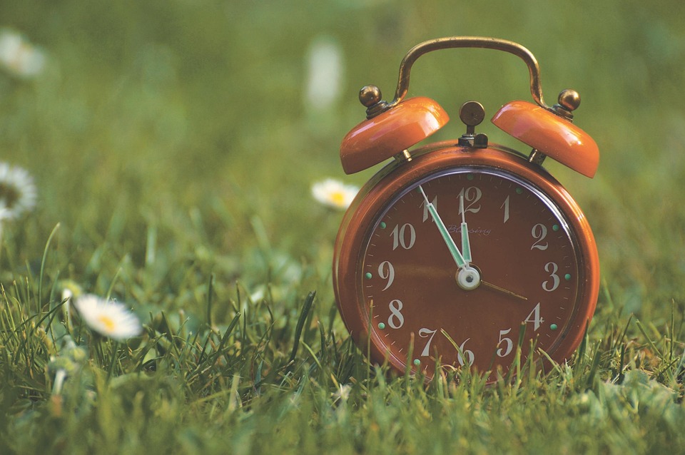 Fünf Millionen Euro für KI-Forschung: ISTA in Klosterneuburg jubelt!