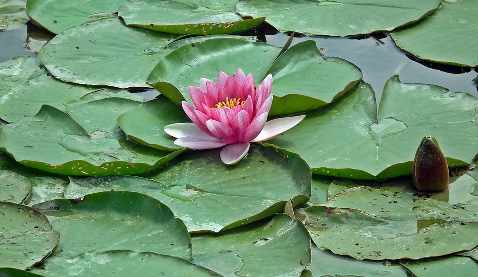 Gemeinsam gegen Cyber-Kriminalität: ESC-Tickets sicher kaufen!