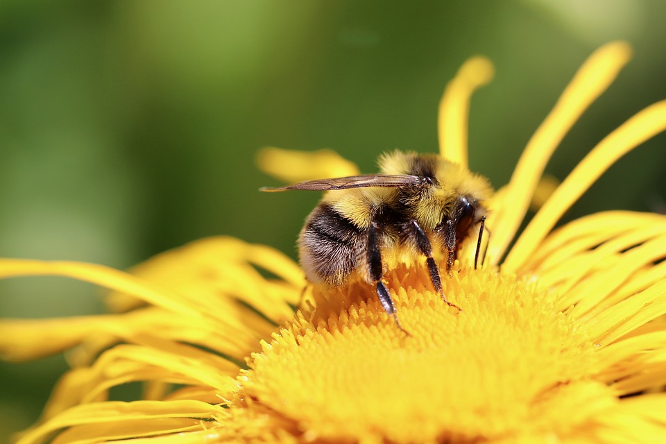Helene Fischer begeistert mit Jubiläums-Medley bei Silbereisen-Show!