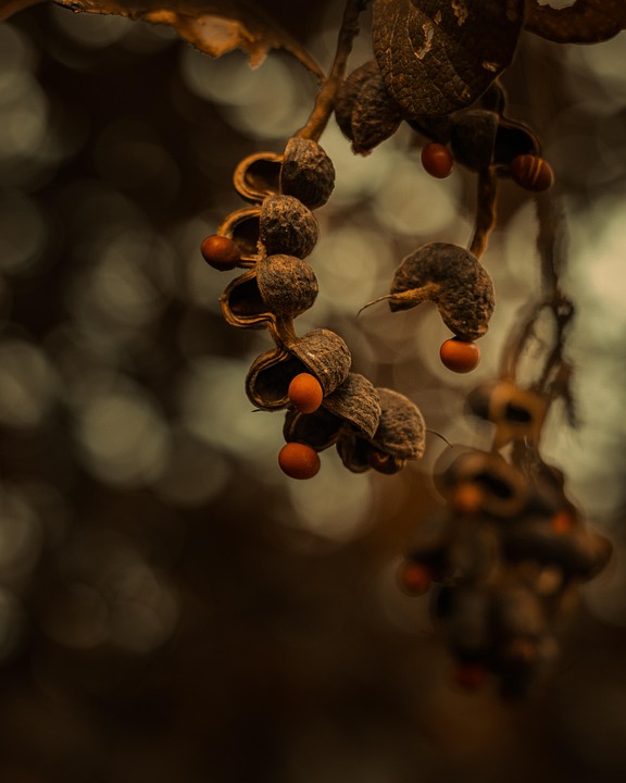 IMMOunited und Scout24: Übernahmegespräche platzen – Was nun?