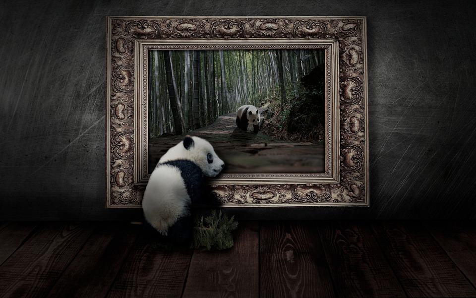 Jojo-Effekt nach Abnehmspritzen: Die dunkle Seite von GLP-1-Medikamenten!