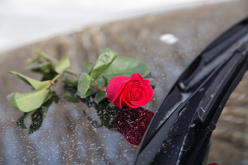 Jubiläum beim Preisschnapsen: Kartenliebe verbindet Generationen!