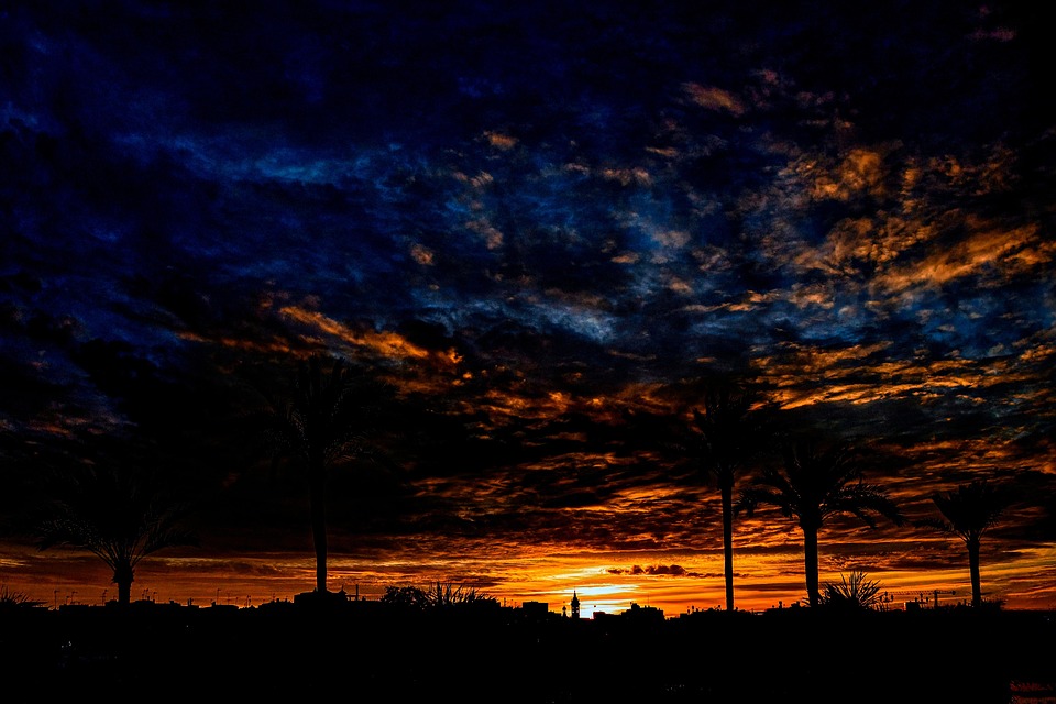 Kärntner Talente im Rampenlicht: Gold für die WorldSkills 2026!