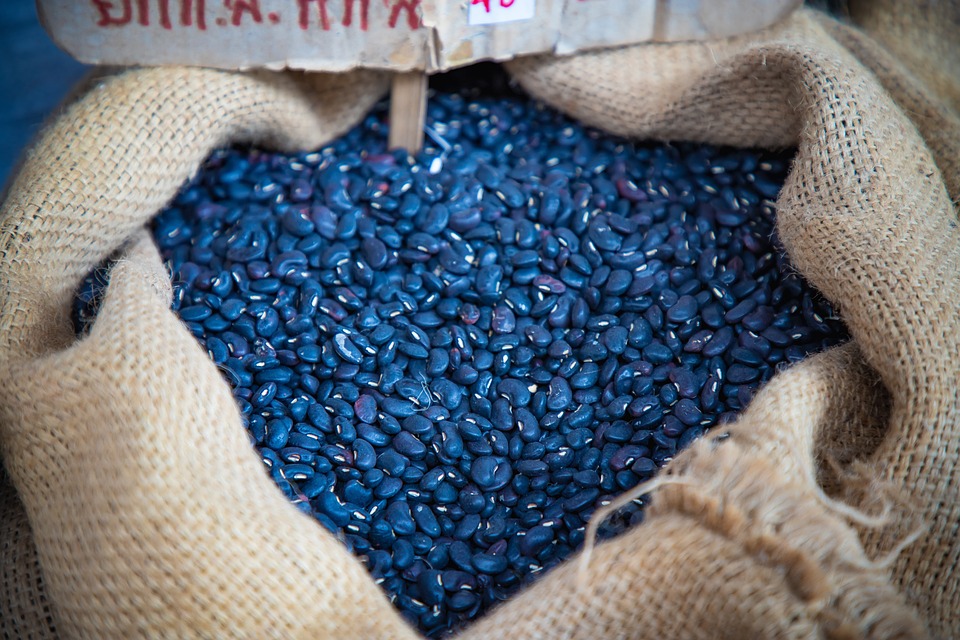 Kanzler Stocker: Wegweisende Rede zur Zukunft Österreichs am Freitag!