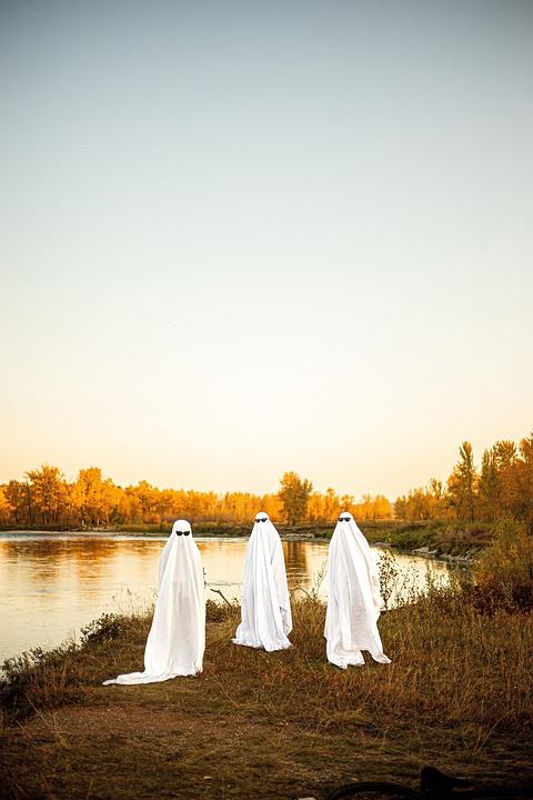 Kasper glänzt mit Tor und Assist beim 5:1-Sieg der Red Wings!