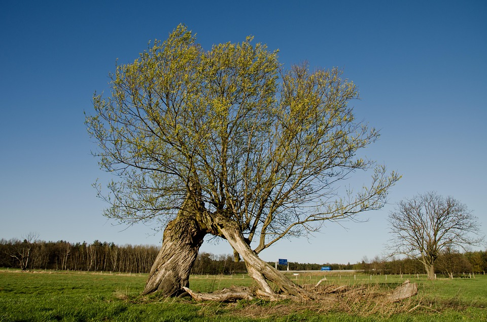 Kate Madden feiert 18. Geburtstag: Neuer Look und Name enthüllt!
