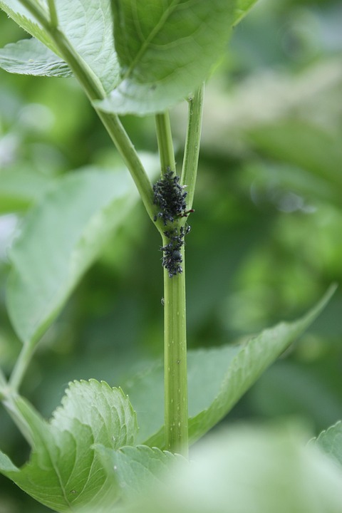Klimaschutz in Wien: Martin Heintel fordert mutige Stadttransformationspläne!