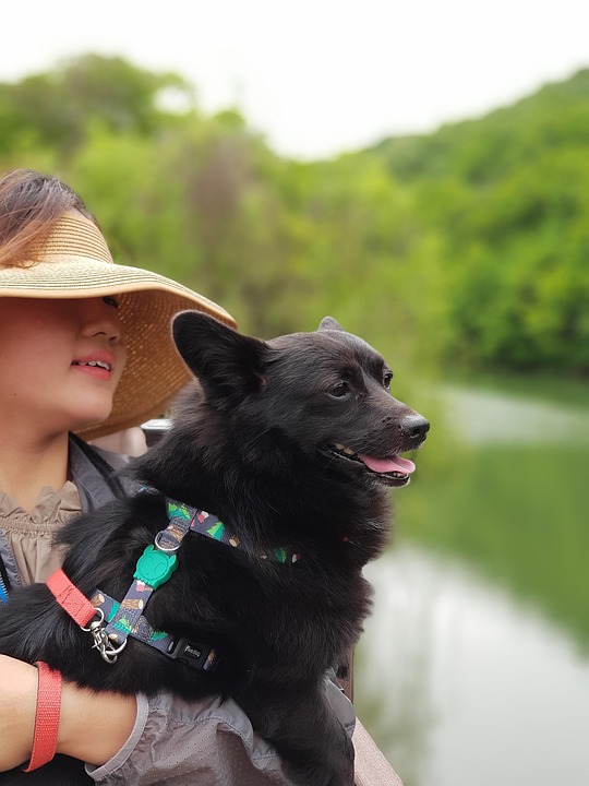 Krebszahlen in Österreich: Alarmierende Prognose bis 2045!