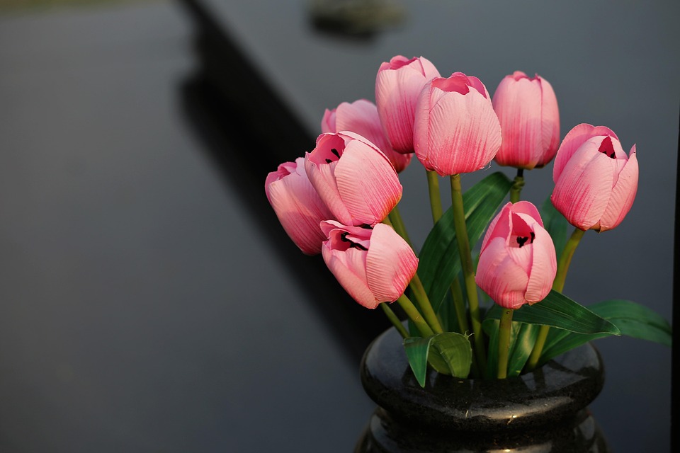 Künstliche Intelligenz revolutioniert die Industrie: Siemens und Nvidia zeigen den Weg!