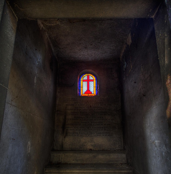 Letzte Chance: Christbäume in Wien bis 17. Jänner kostenlos abgeben!