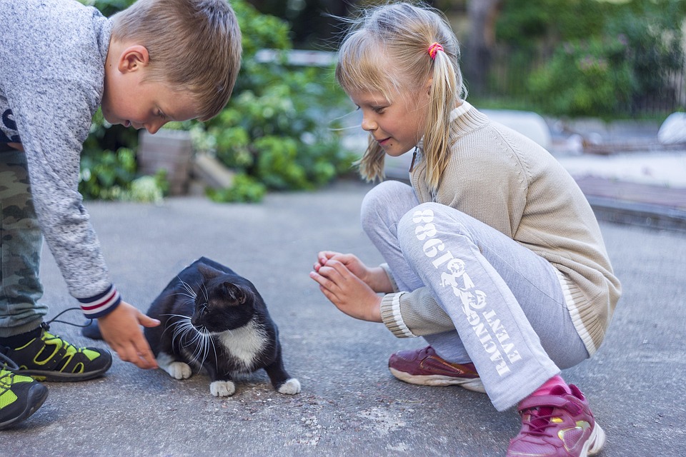 Lisa Eder krönt sich zur Skisprung-Königin in Japan!