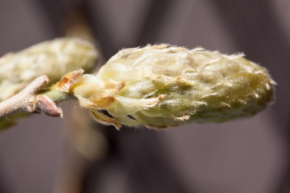 Looksmaxxing: Jugendkult zwischen Selbstoptimierung und toxischer Männlichkeit