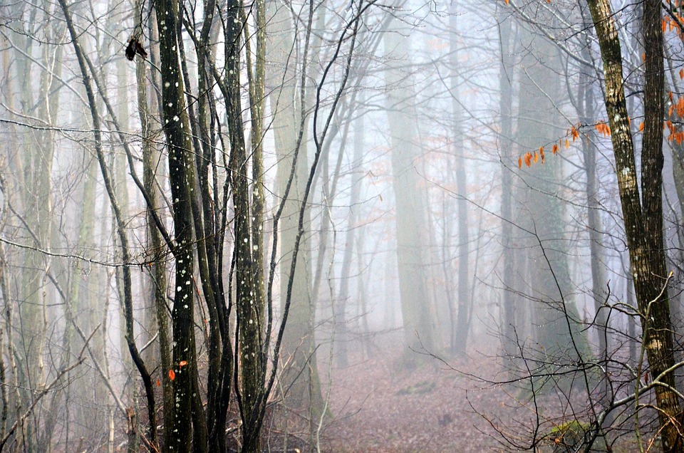 Massenschlägerei in Wien: Bandenkrieg löst Welle der Gewalt aus!