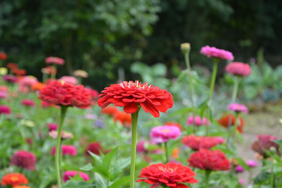 Massive Bettenkürzungen in Wiener Kliniken abgewendet – Ein Lichtblick!