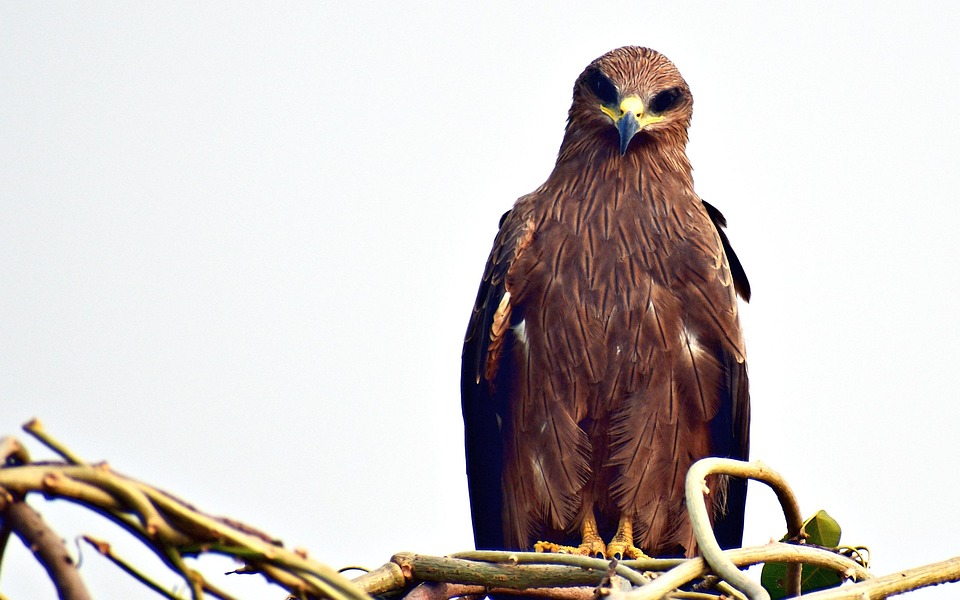 Migräne – Frauen leiden mehr: Ursachen und neue Behandlungschancen!