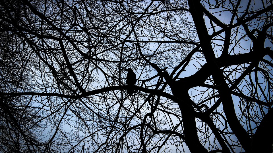 Mysterieuze Anrufe: Harmlos oder eine teure Kostenfalle?