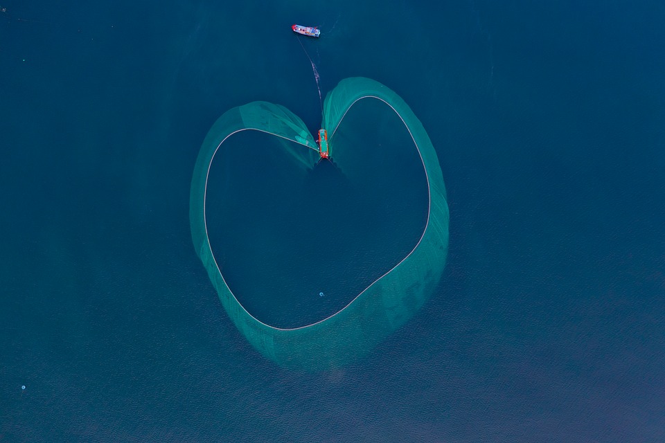 Nachhaltigkeit ohne Kompromisse: Culligan setzt neue Maßstäbe!