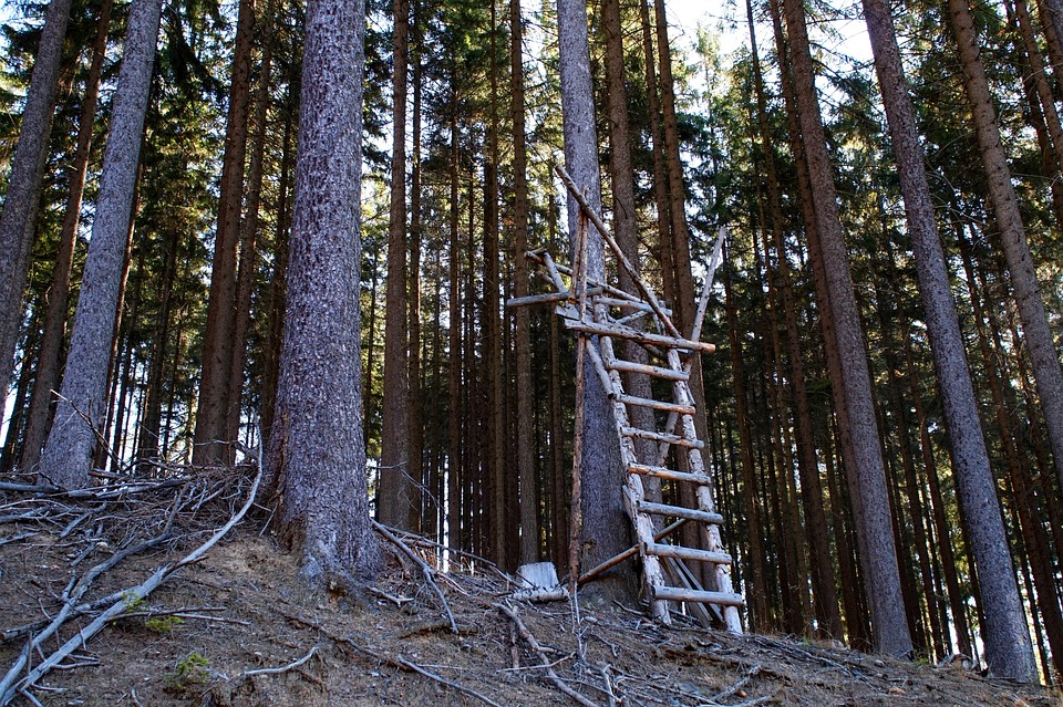 Provisorische Stromleitung nach Großbrand in Lienz nun in Betrieb
