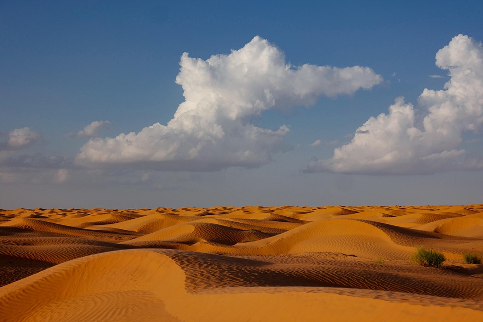 Revolutionäres E-Paper: Duna bringt Kunst ins Wohnzimmer!