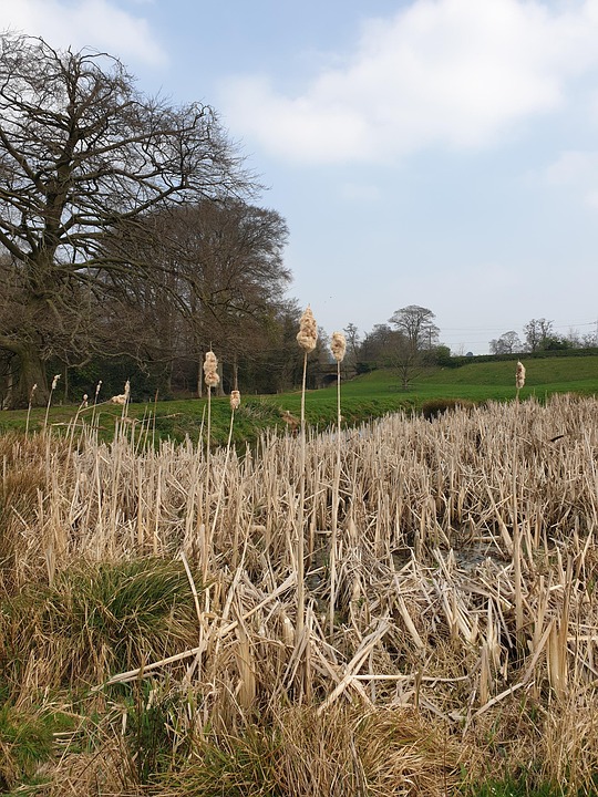Sabalenka stürmt ins Halbfinale der Australian Open – 39 Grad warm!