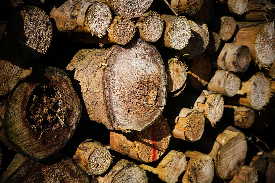 Scheitern mit Folgen: Reliance kämpft um Zukunft in der Batterieindustrie