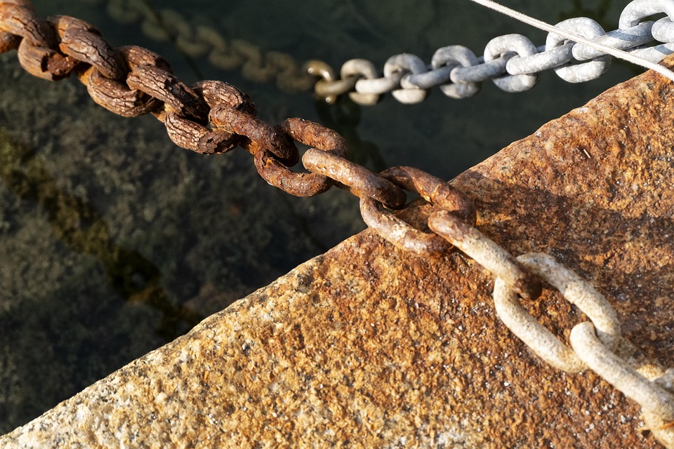 Schock in Bad Hall: Mann nach Forstunfall dringend reanimiert!