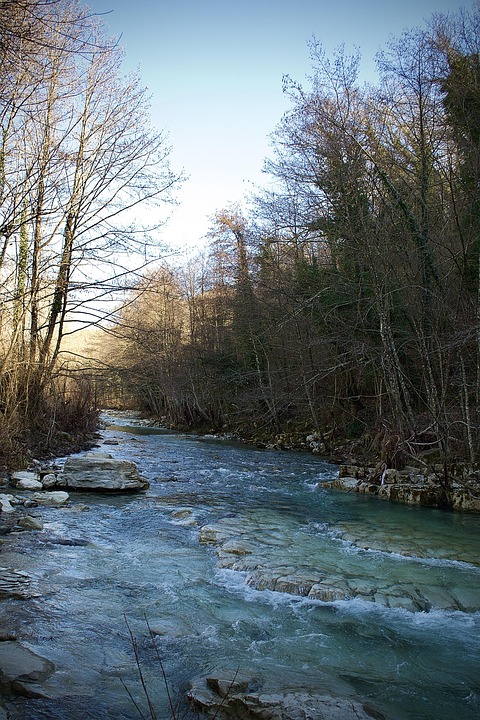 Schockfund in Fußach: Föten, Schädel und Waffen im Keller entdeckt!