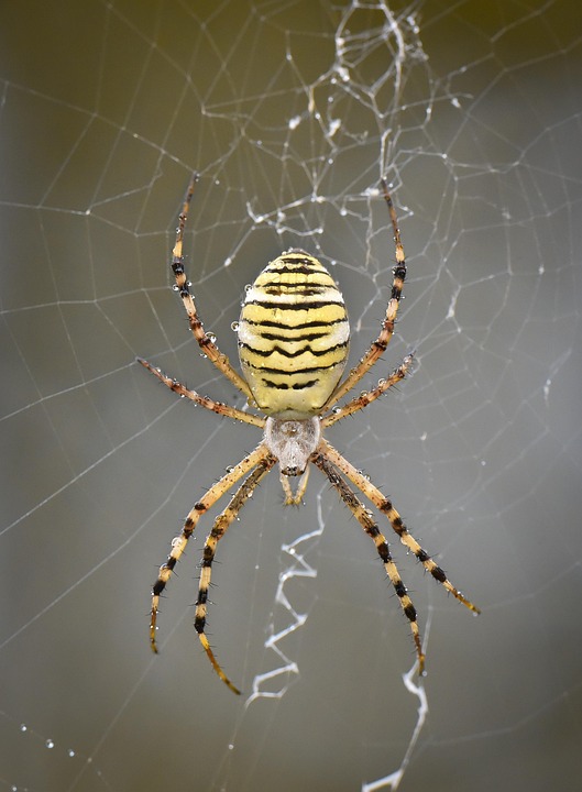 Schrecklicher Unfall bei Bludenz: Sattelzug verliert 500 Liter Diesel!