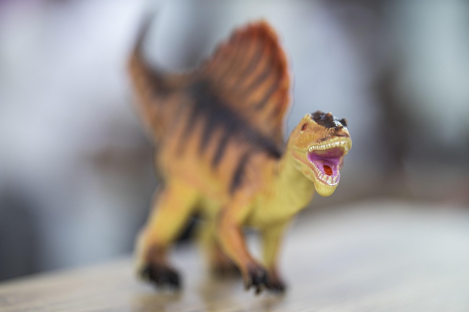 Schrecklicher Unfall in Gratkorn: PKW überschlägt sich nach Sekundenschlaf!