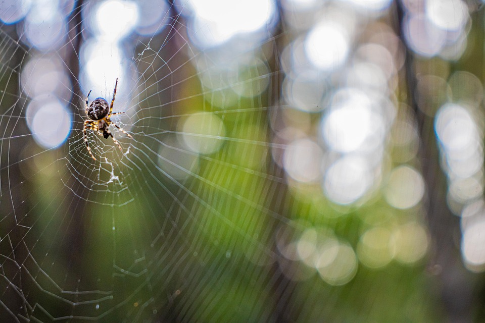 Schrecklicher Unfall in Wenden: Pkw prallt gegen Bäume – Fahrer schwer verletzt!