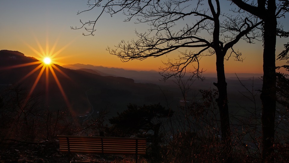 Schweizer Bundespräsident Parmelin zu Besuch: Gespräche über Wirtschaft und Sicherheit in Wien!