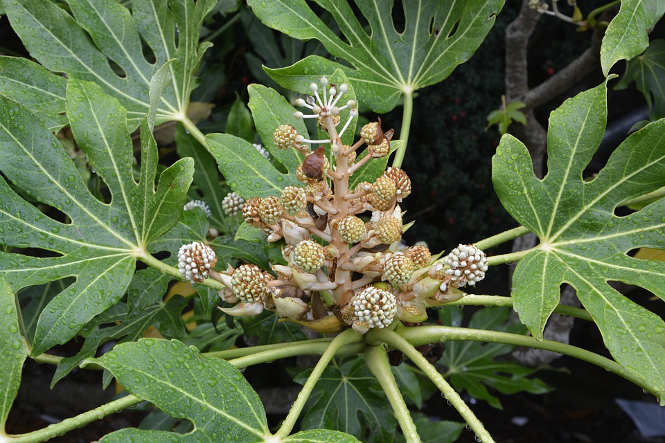 Schwerer Lkw-Brand im Brentenbergtunnel: Massive Staus nach Sperrung!