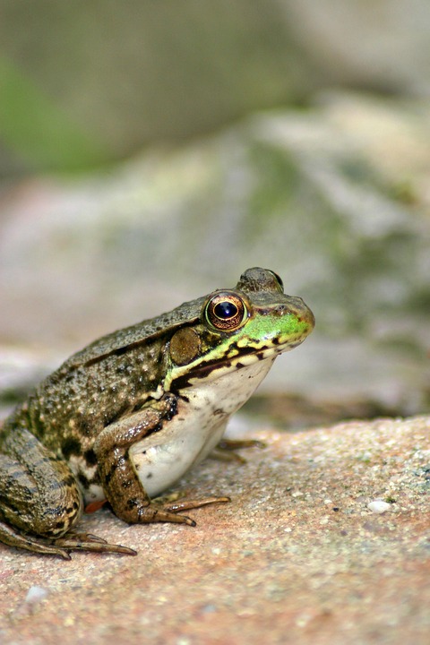 Schwerer Unfall bei Kematen: eCall rettet Leben nach Autoabgang!