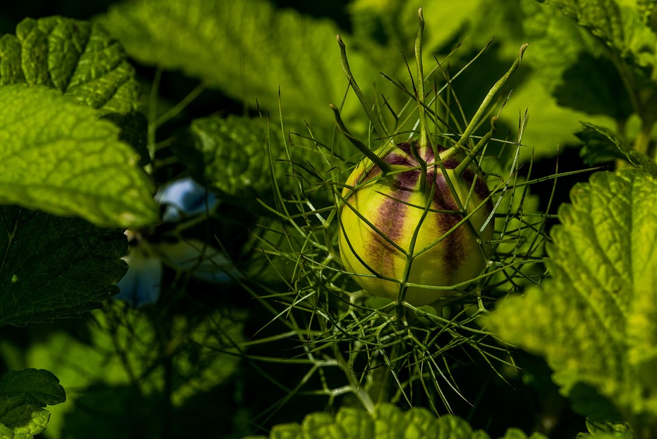 Selbstschutz für Frauen: Workshops in Spittal starten bald!