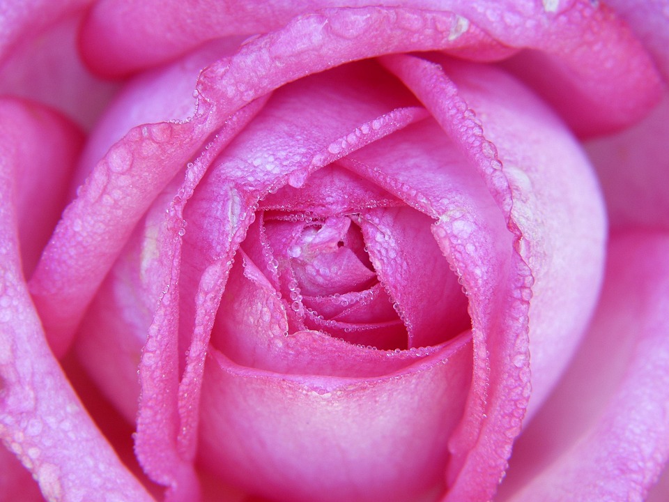 Selenskyj: Friedensschluss bis Mitte 2026 – Hoffnung für die Ukraine!