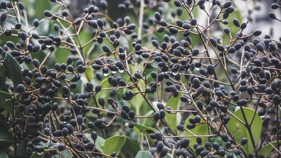 Selenskyj warnt: Russland plant neuen Angriff – Kiew in Alarmbereitschaft!