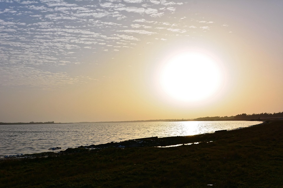 Senegal schlägt Ägypten: Sadio Mané führt ins Afrika-Cup-Finale!