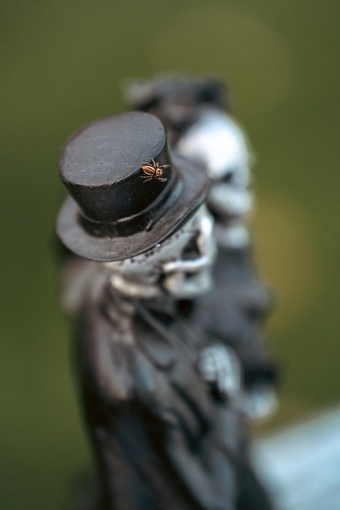 Skelette im Kirchenumbau: Ein ungewöhnliches Airbnb in Wales!