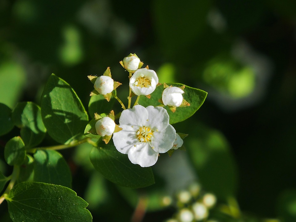 Spar verkauft Hervis: Neue Ära für die Sporthandelskette beginnt!