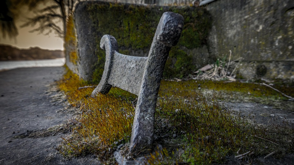 Strache vs. Rau: Verhandlung wegen übler Nachrede erneut vertagt!