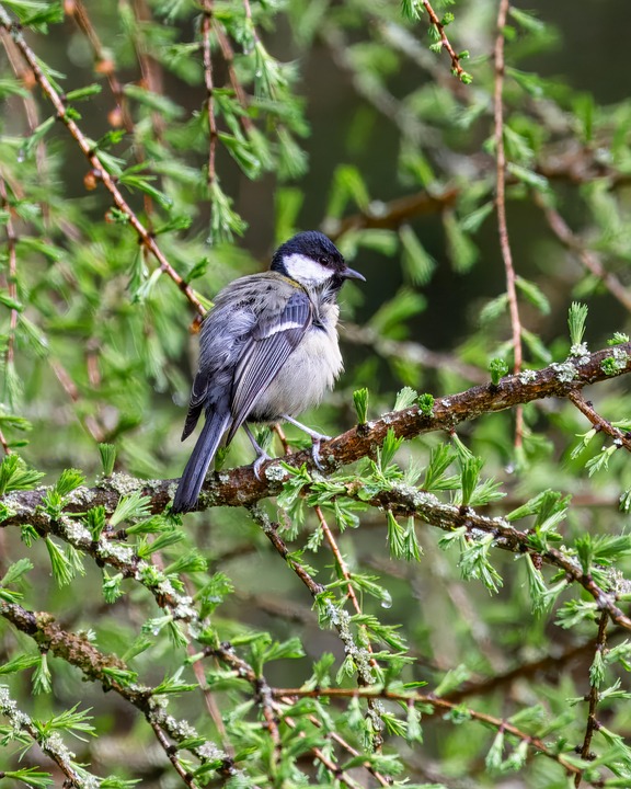 Sylvie Meis: Trennung nach 1,5 Jahren – Freundschaft bleibt bestehen!