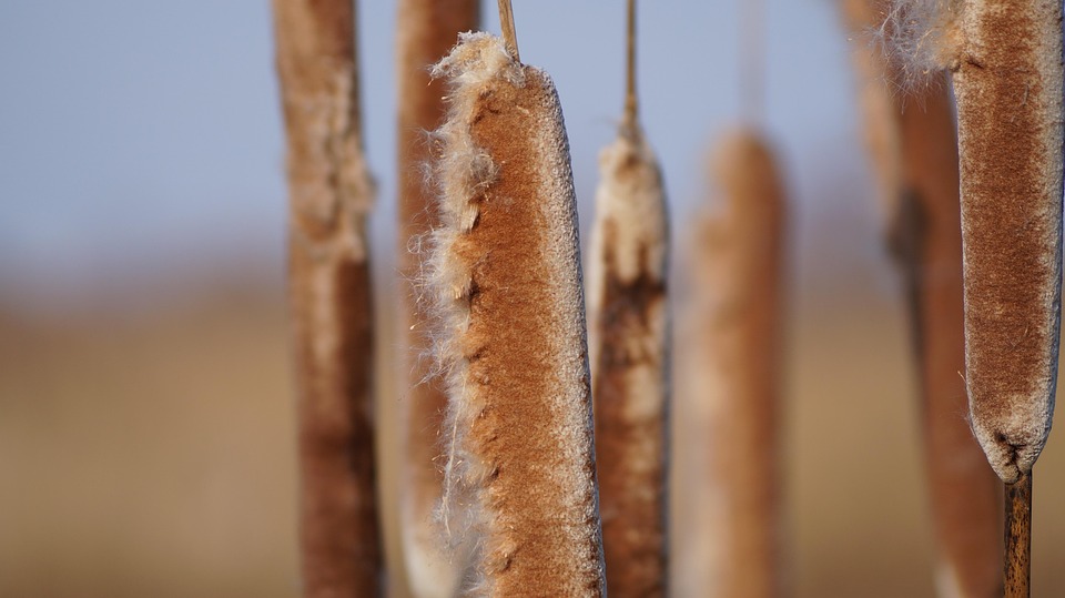 Thomas Mraz: Kabarett-Premiere mit scharfer Gesellschaftskritik!