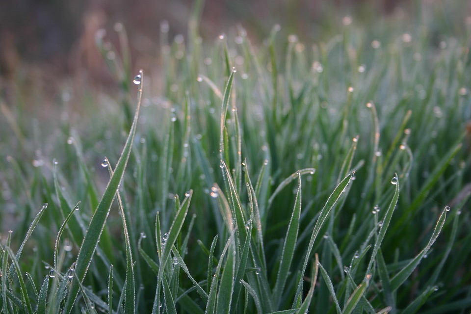 Tim Cook: So viel verdient der Apple-Chef im Jahr 2025!